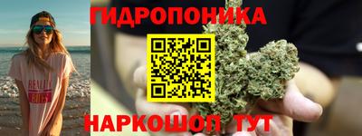 шишки Малоярославец