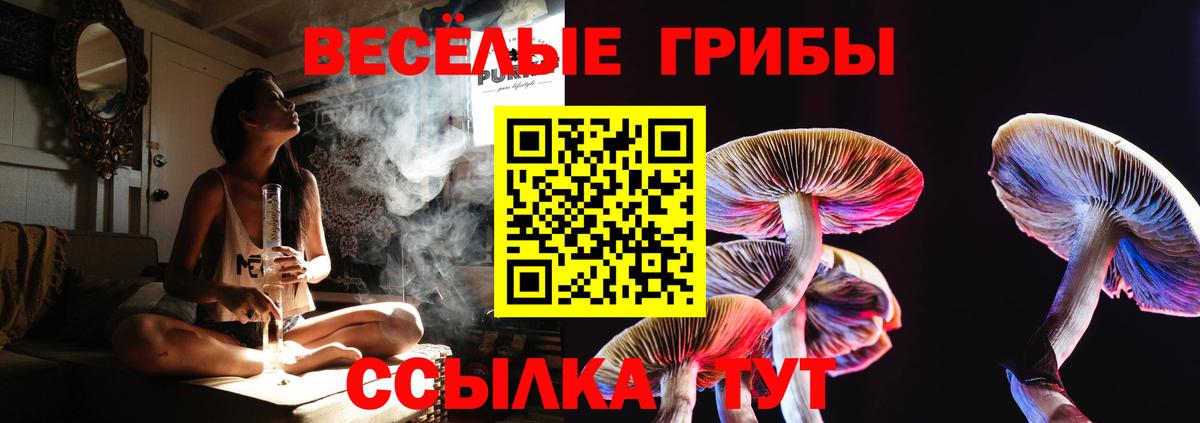 Псилоцибиновые грибы GOLDEN TEACHER  Вход с VPN  Псилоцибиновые грибы Cubensis  купить   Великие Луки 